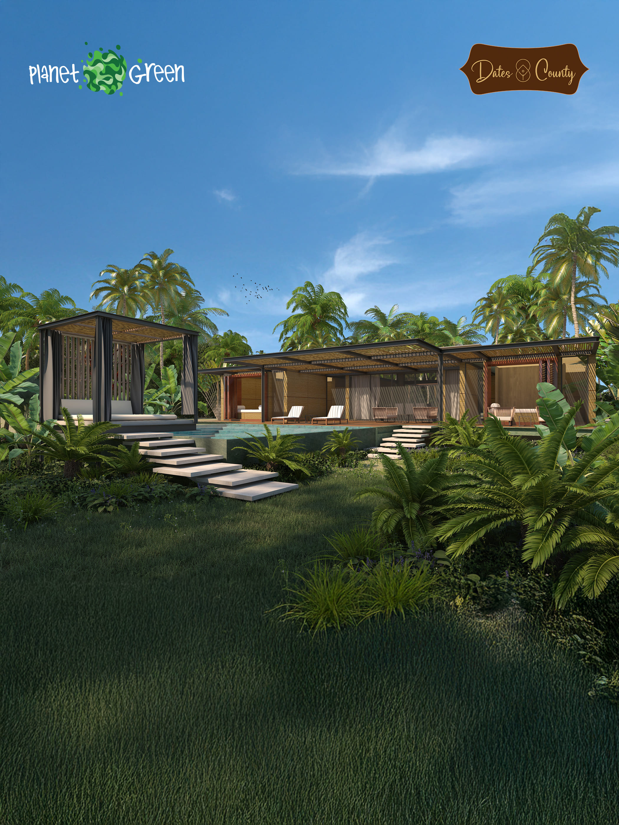 Gallery image 6
